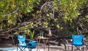 isla_palenque